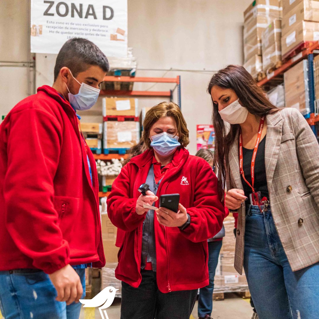 alcampo's tweet photo. ¿Quieres construir el comercio del futuro con nosotros? 😉 Estamos buscando responsables de comercio a nivel nacional 🙌
¡No esperes más! ¡La oferta finaliza pronto! ➡ https://t.co/ja0Q5xeDq7
#BuscamosTalento #MarketManager #TrabajaConAdecco
@Adecco_ES https://t.co/3OE6Q8sZaO