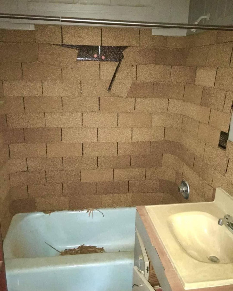 CheckMyRoof's tweet image. Caption this! 😂