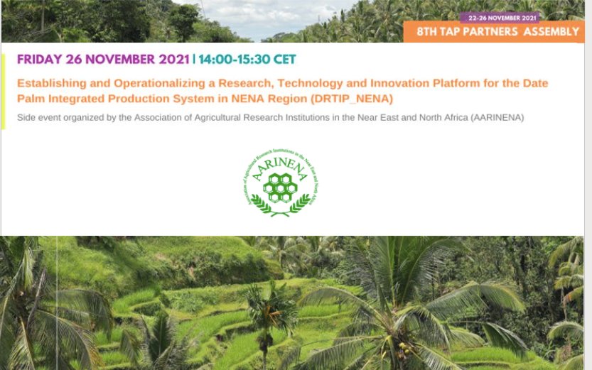 TAP_G20's tweet photo. @aarinena @FAO @FAOScienceChief @FAOInnovation @Selvaa_Ramasamy @FAOFFKP @kiaaiae @ICARDA @FAOinNENA_EN @GFARforum @FAOLandWater @FAOJordan #TAP_PartnersAssembly side event by @aarinena has begun!
Inspiring introductory remarks by @ravi_khetarpal (TAP Chair, @APAARI) and @Selvaa_Ramasamy (@FAO)
We aim to achieve impact at scale in #agriculturalinnovation
#DatePalm #IntegratedProduction
#research #partnerships https://t.co/QLUYxVaWH4