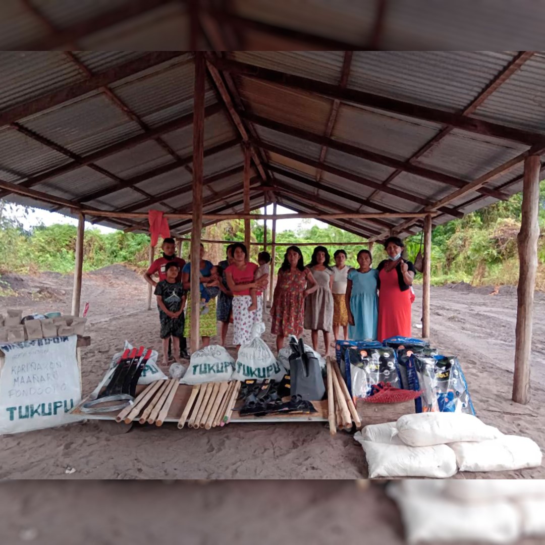 <a href="/FAO_Venezuela/">FAO VENEZUELA</a> ofrece asistencia técnica a la Empresa Forestal Indígena <a href="/tukupu_ve/">Empresa Forestal Indígena Tukupu</a>, liderada por la capitana #kariña Cecilia Rivas, se imparte la inducción a los productores para el uso de las semillas en los próximos períodos de siembra.