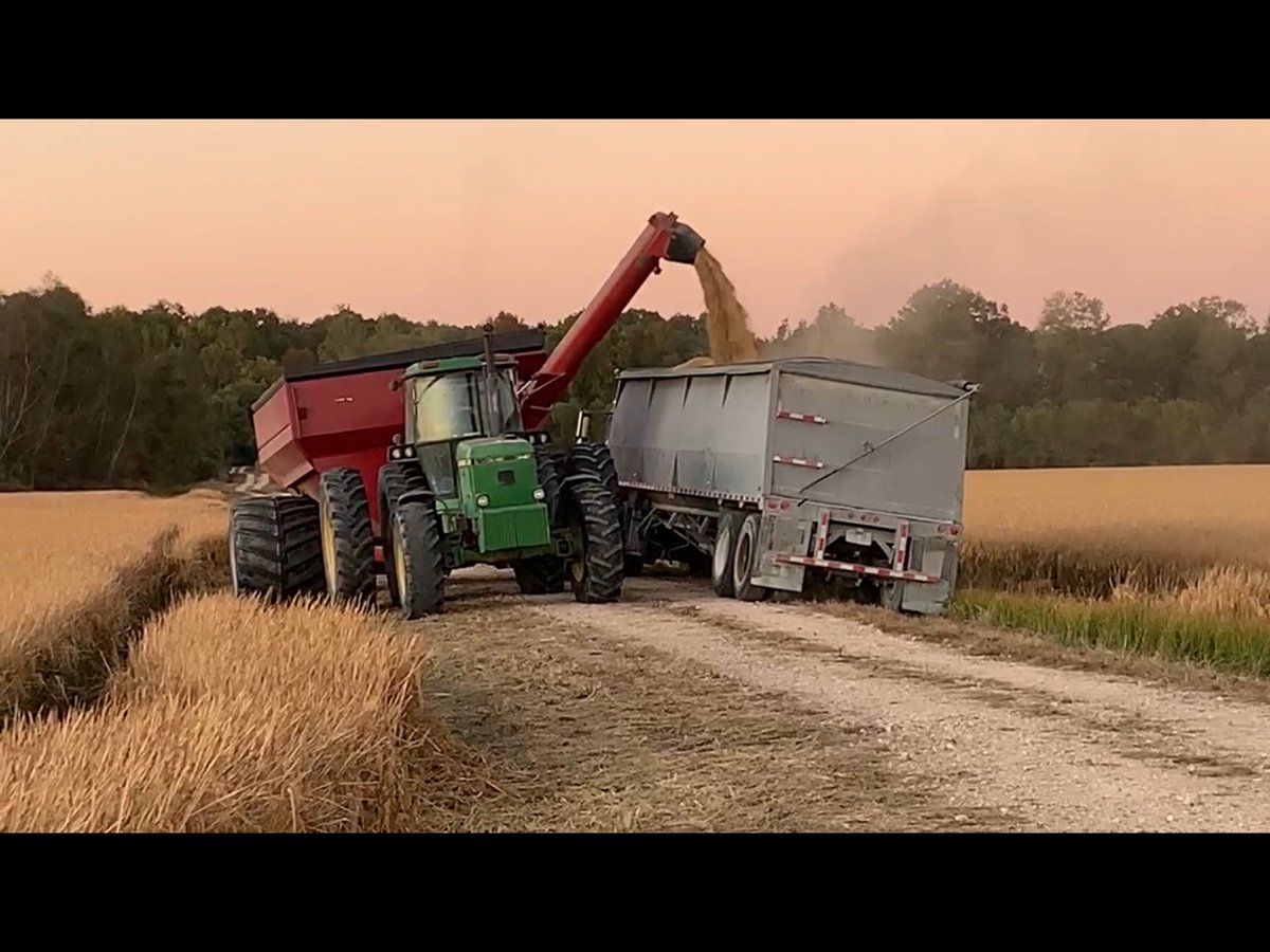 GerardBlake's tweet photo. #JMHarvest https://t.co/5pInd8e0AK