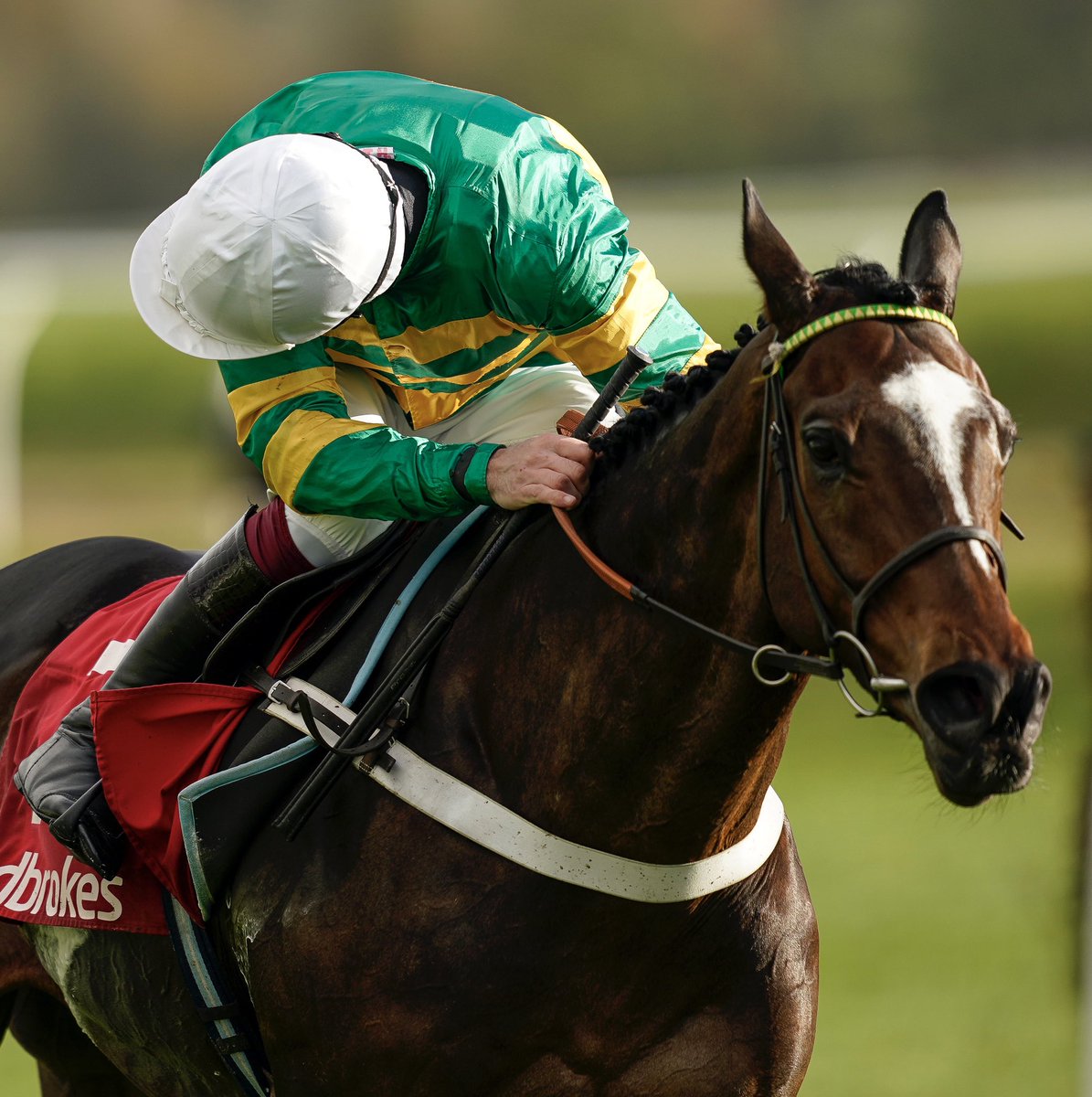 At The Races tweet media