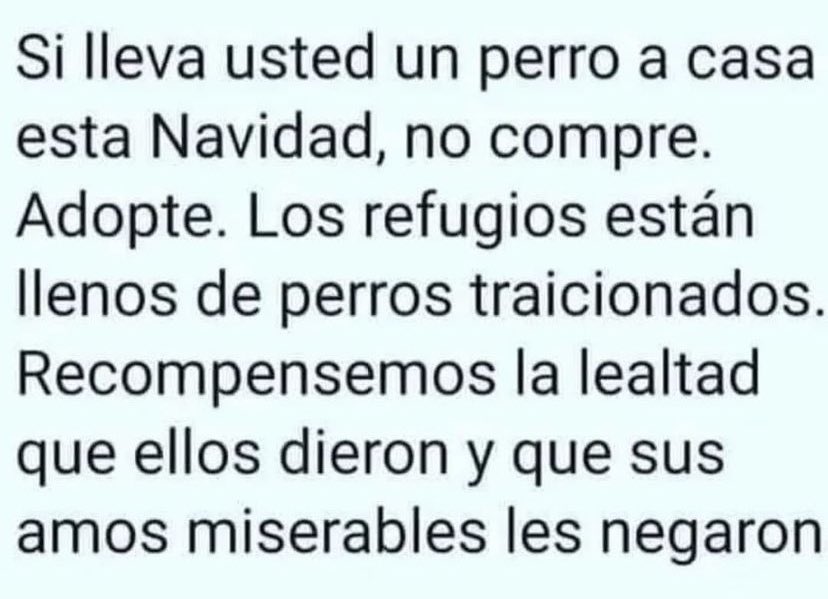 verolopez_10's tweet image. RT infinito