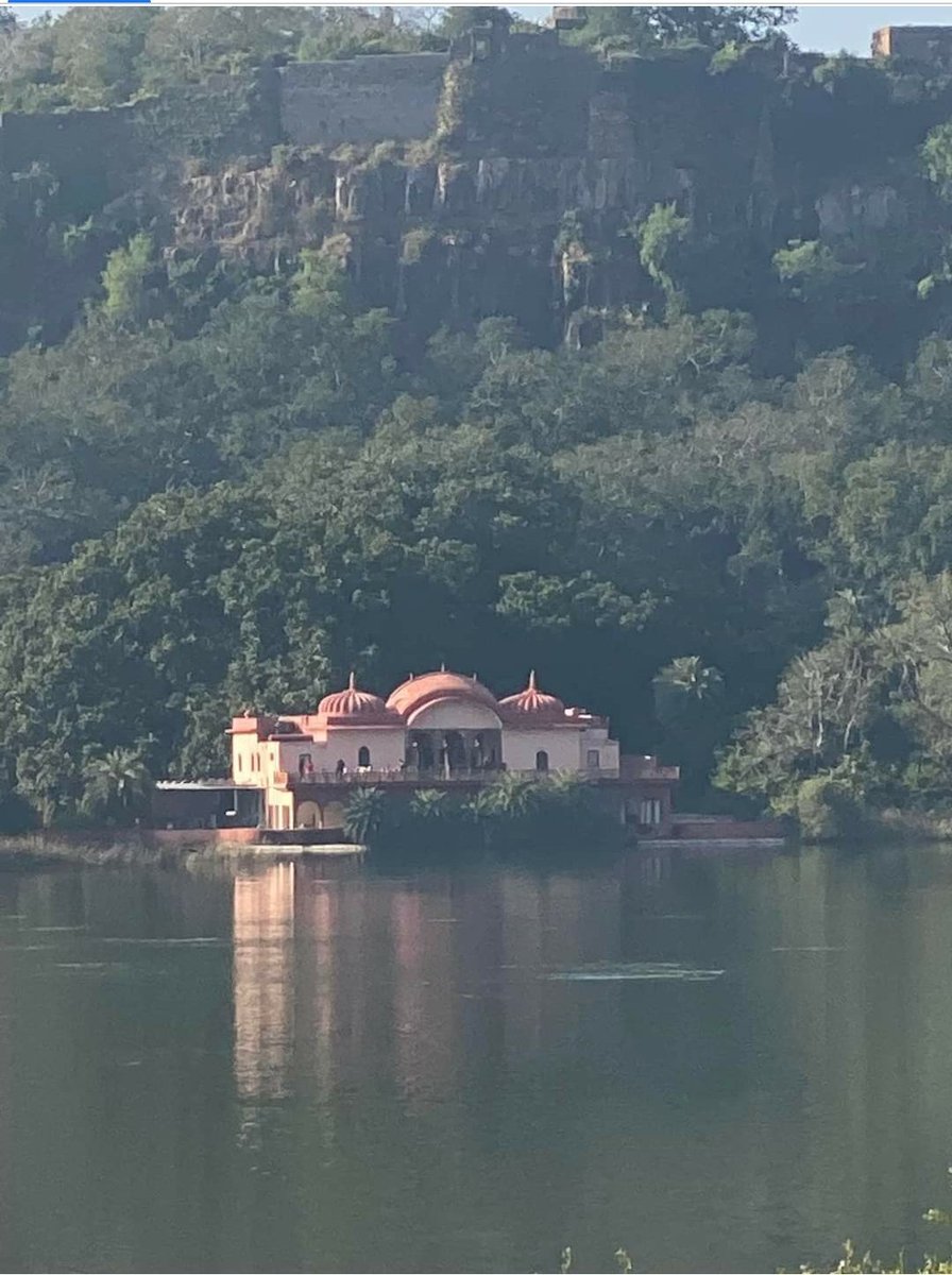 manjumathur1's tweet photo. #JogiMahal in Ranthambore . Amidst a heavenly landscape so calming on the mind .
#Paradise #Serenity https://t.co/0xDuHtFphF