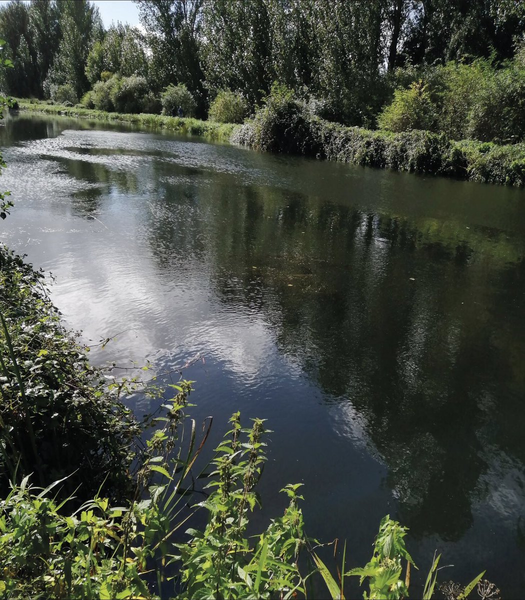 Did you know that the Exeter canal is one of the oldest artificial waterways in the UK? 😳 This month we discovered how Exeter became one of the richest cities in the country thanks to the construction of its canal. Read more in this months One Mag! #exeter #devon