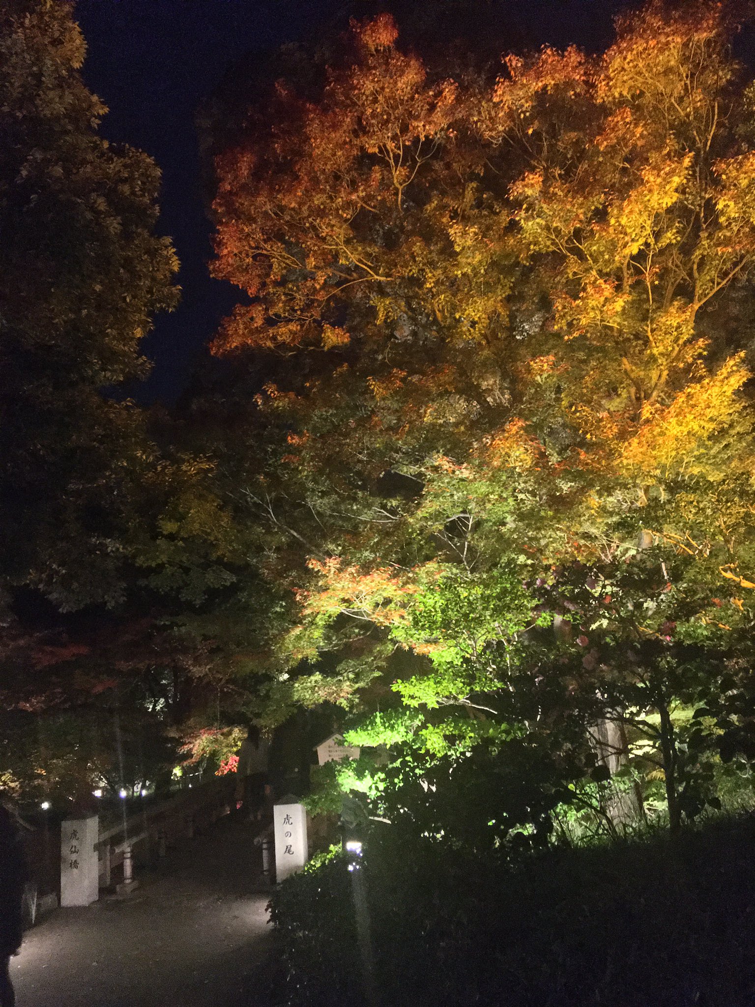 徳川園 Tokugawaen Twitter