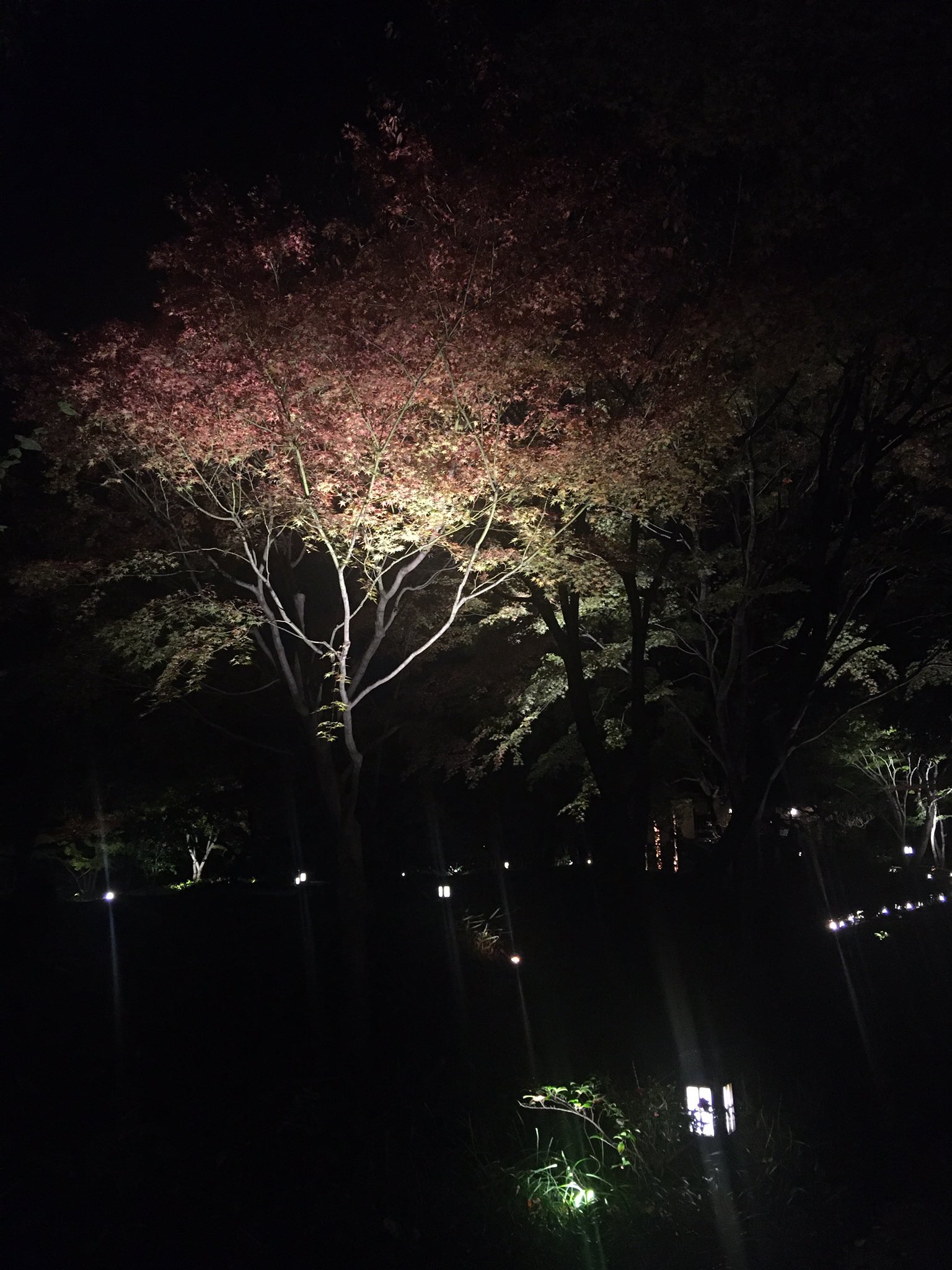 徳川園 Tokugawaen Twitter