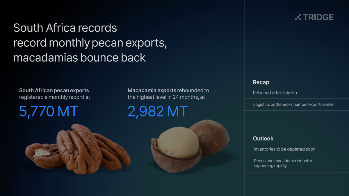TridgeGlobal's tweet photo. In #SouthAfrica, in a season where logistic bottlenecks hindered the regular flow of exports for much of the season, #pecan and #macadamia exports in September signaled what could be a return to normal. 
https://t.co/FGf9YuixpE https://t.co/hCmCk9OMfd