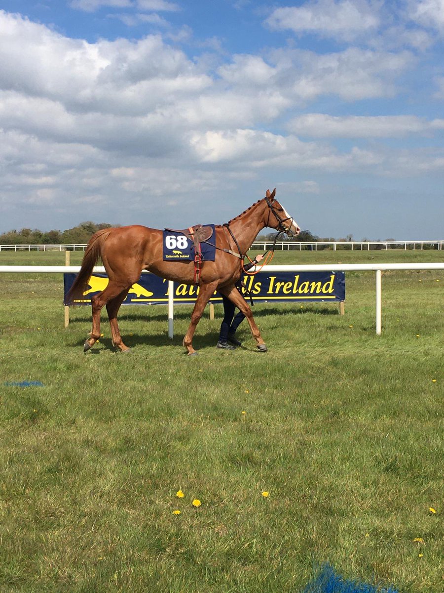 Meath & Tara Pt2Pt tweet media