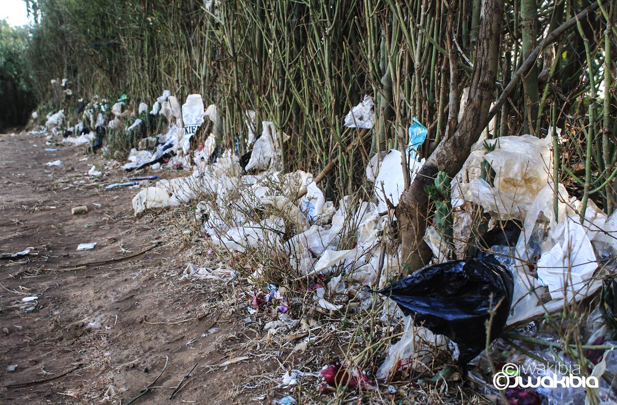 benogeh's tweet photo. For many years, we have accepted individual responsibility for a problem we have little control over. We can swim against this plastic stream with all our might and fail to make much headway. At some point we need to address the source. #RethinkPlastics @JamesWakibia https://t.co/1krgA9lUAf