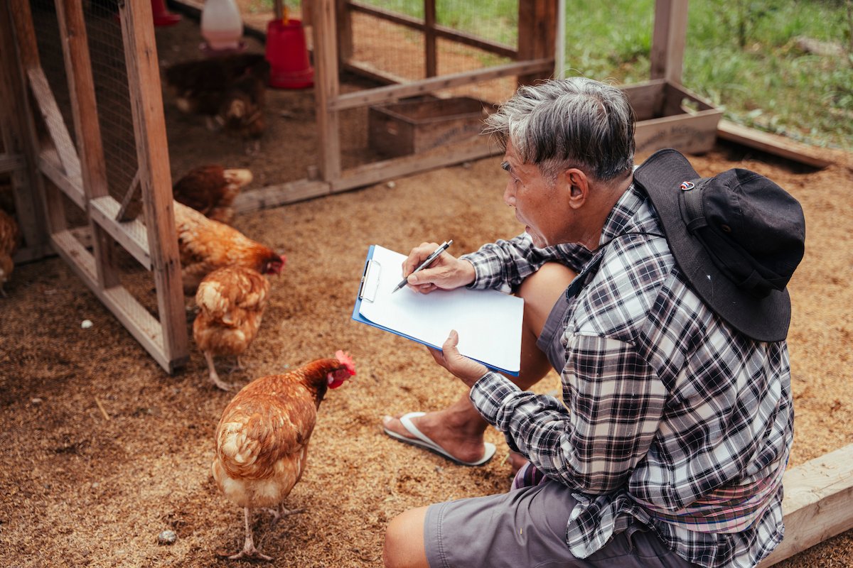 WOAH's tweet photo. #AvianInfluenza outbreaks have serious impacts on livelihoods, international trade &amp; poultry production. Recent data reported by 🌏 showed an unprecedented wide range of subtypes in circulation. We’re working with partners to better understand their origin &amp; stop their spread. https://t.co/IgKOpIDp6N