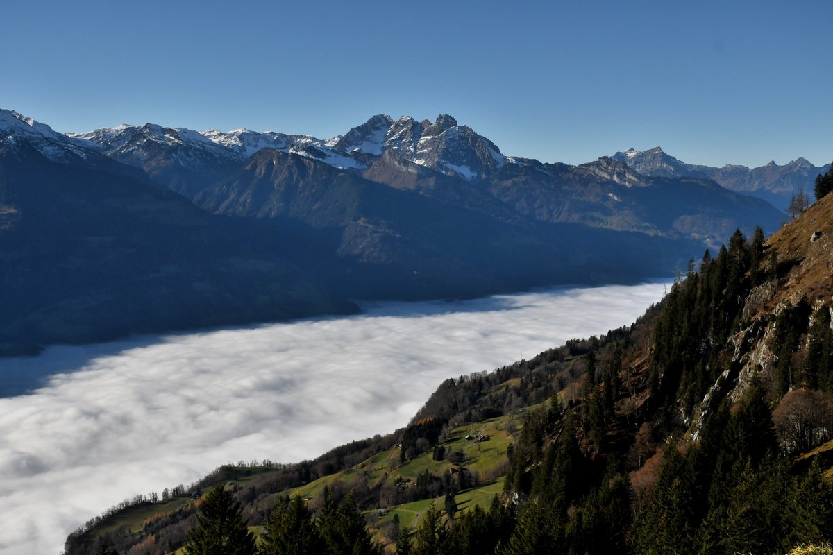 gurgeh's tweet photo. Above the sea of clouds and yet below the Churfirsten peaks

Alp Tschingla, SG, Nov'21 https://t.co/RqXy7DUpyh