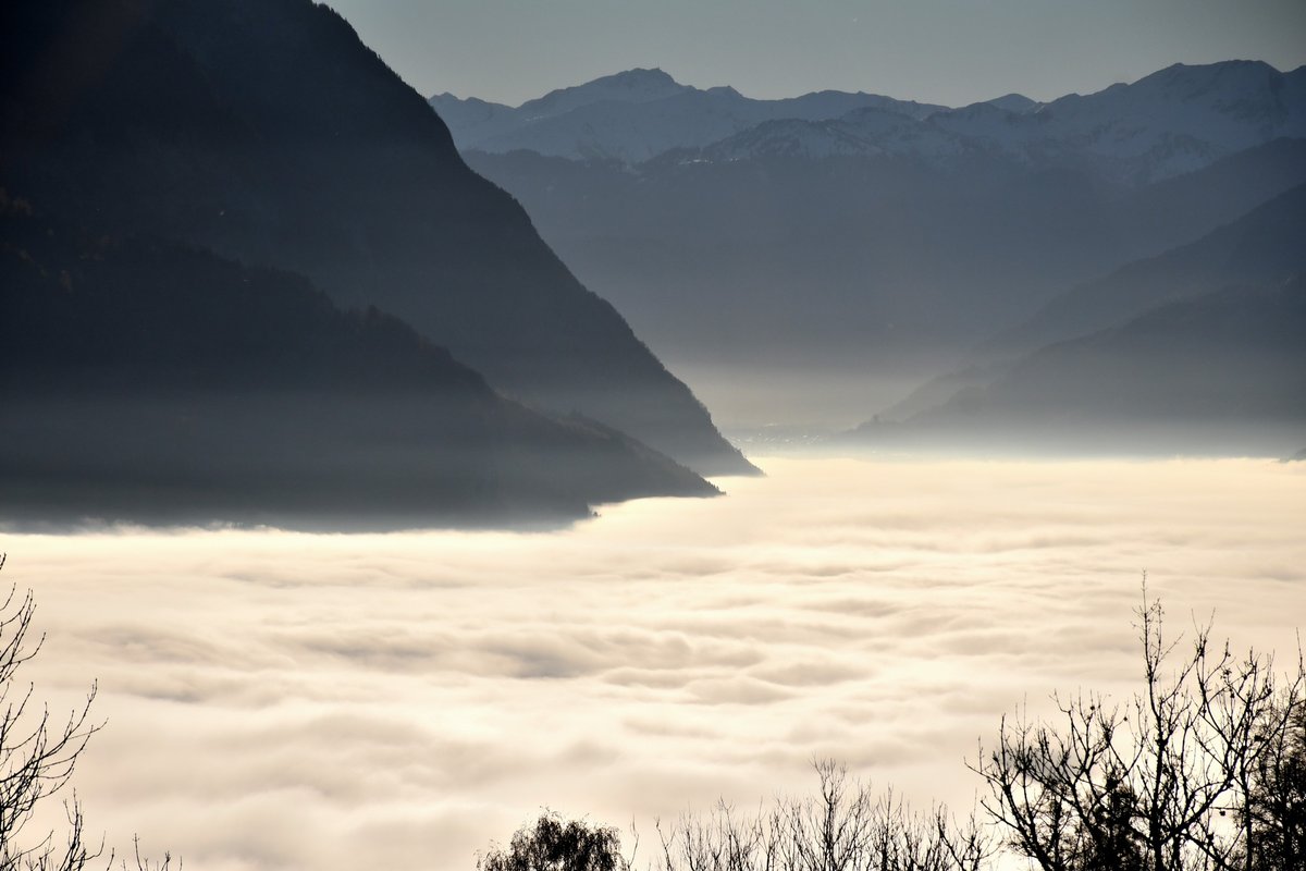 gurgeh's tweet photo. Above the sea of clouds and yet below the Churfirsten peaks

Alp Tschingla, SG, Nov'21 https://t.co/RqXy7DUpyh