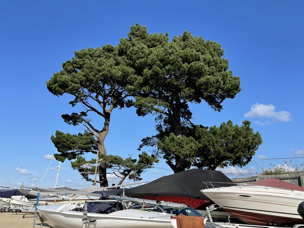 #Happy #Friday everyone😎<a href="/jarsofjoy/">Jars of Joy CIC / NLP Coach /mBIt Coach</a> <a href="/TheJoeyJournal/">Joey | The Joey Journal</a> <a href="/FairmansAccoun1/">Fairmans Accountants</a> @HandWShop <a href="/ElkieHolland/">Elkie Holland - of Prospectus IT Recruitment</a> <a href="/VillageTeapot/">The Village Teapot Preston</a> <a href="/BusyBeesTweets/">Busy Bee Beauty Plus</a> <a href="/CateringBells/">Belles’ Catering</a> <a href="/Xav_Anderson/">Xav Anderson - Clockwork City</a> <a href="/bankslyonshoes/">Banks Lyon Shoes</a> <a href="/_LingerieLounge/">The Lingerie Lounge</a> <a href="/ellasgiftco/">Ellas gift co</a> <a href="/JAKHanson/">JAK Hanson Shopping Outlet, Wrightington</a> @LancashireHour <a href="/artisan_escapes/">Artisan Escapes</a> <a href="/longridgegall/">Longridge Gallery</a> @LancsSkillsHub #joy