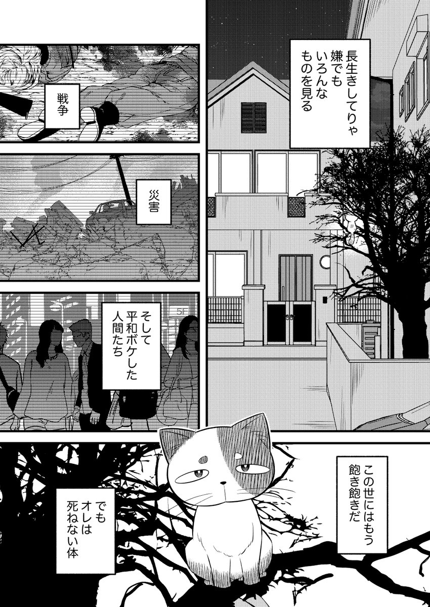 【再掲】100年生きた猫の話(2/5) 