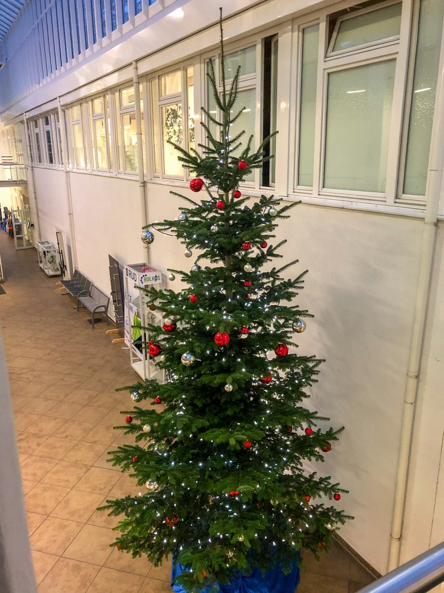 ❄️ ☃️ The first snow this year 😊❄️ ☃️ Christmas preparations on Peace Island🎄🎄 We are getting in the mood for Christmas 🎄 ⭐ and wish you a happy 1st Advent 🎄🕯️