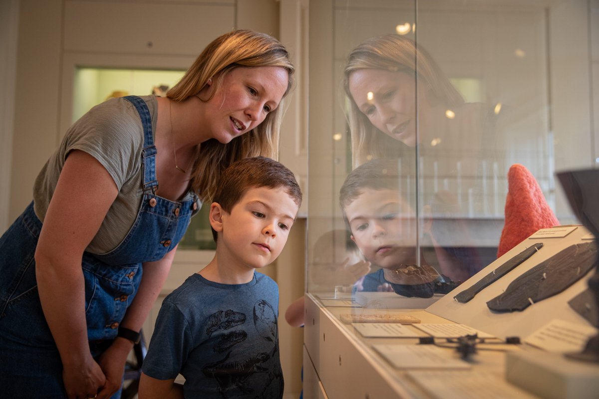 Sussex Past tweet media