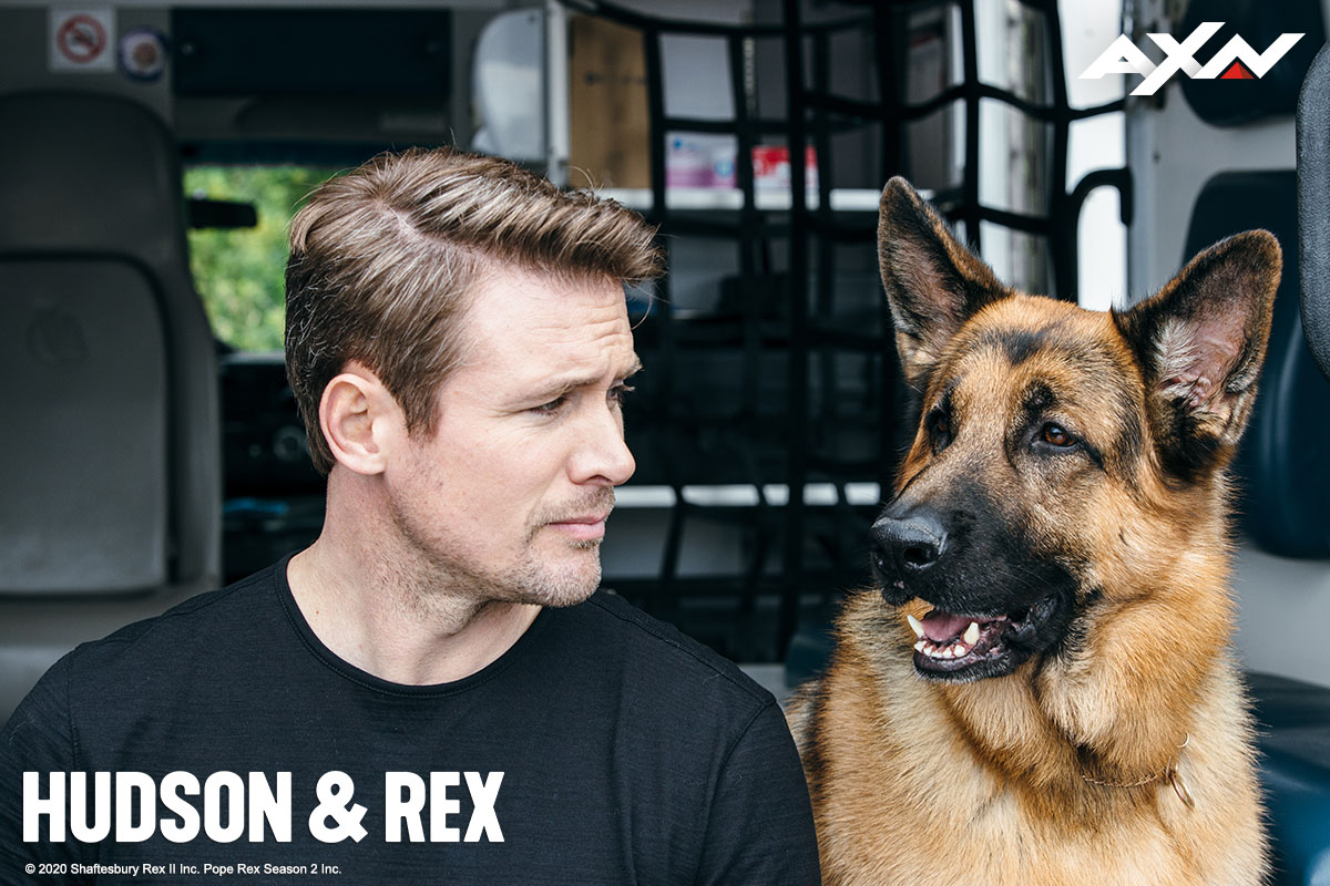 axnasia's tweet photo. As the season comes to an end, let's take a look at Detective Charlie and Rex's most adorable moments on the job! 🐾 Send some virtual treatos and show this paw-some duo some love. ❤
📺 Hudson & Rex | Season finale TONIGHT at 8.50PM (7.50PM JKT/BKK).
#AXNHudsonAndRex https://t.co/mAed1BKYgk