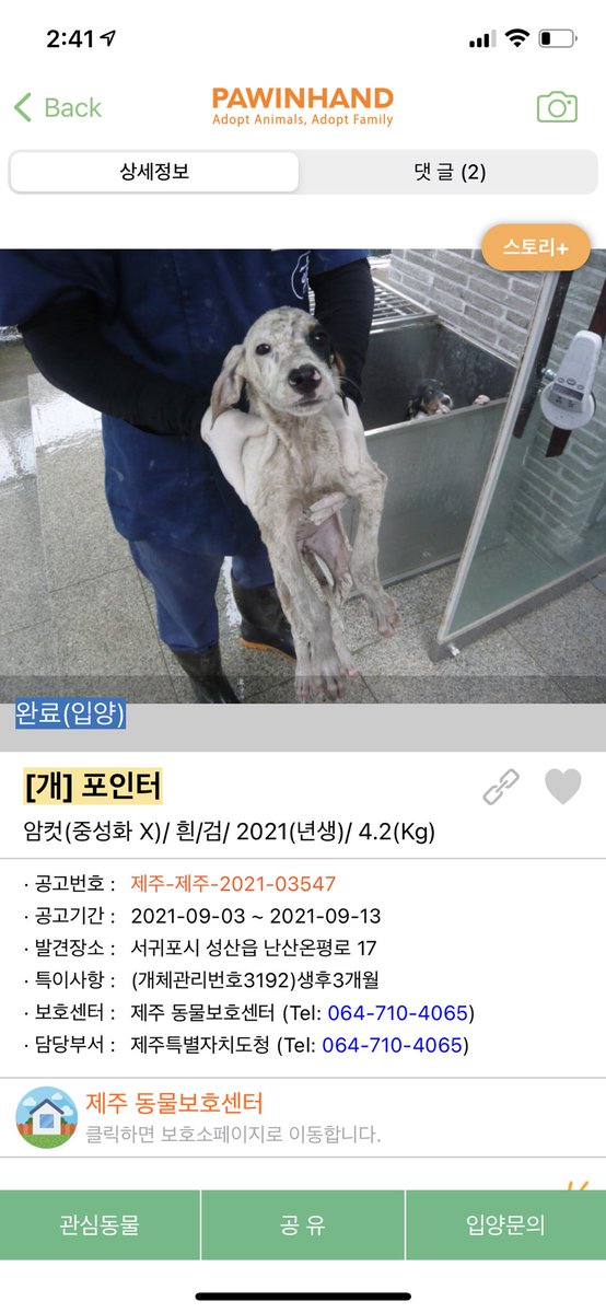 marie_ong815's tweet photo. 제주에서 모시고 왔습니다~이제 막 5개월 되었네요! 마리언니도 마포애기랑 잘 놀아주고 있습니다🥰쑥쑥 자라자 마포! https://t.co/4SdyHFt1U7