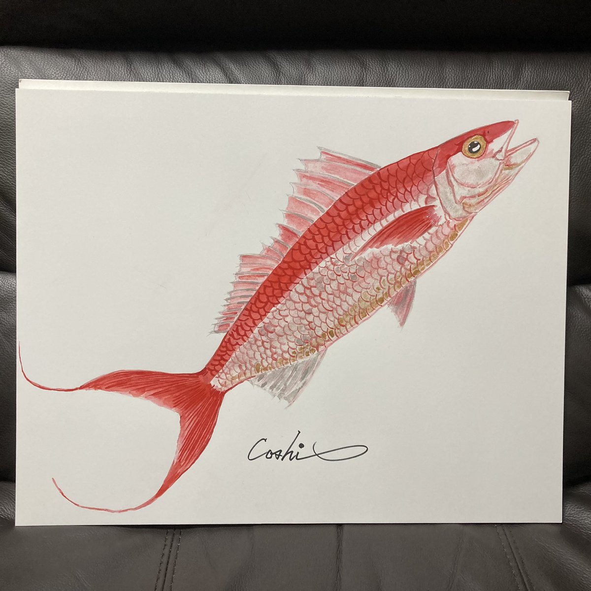 I have drawn the .🐟🎨