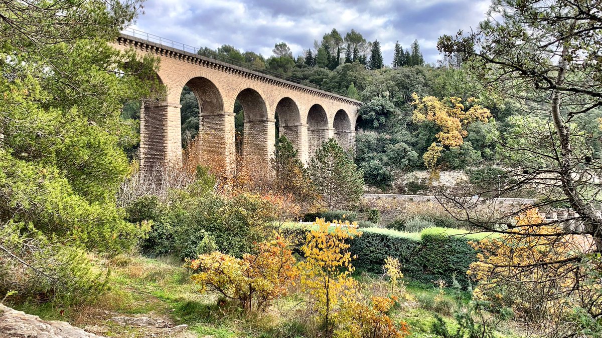 Vauclusolafont's tweet photo. Photo du jour 😍
#fontainedevaucluse #aqueduc #tourismepaca #source #sorgue #village #provenceguide #rivière #nature #montagne #gouffre #falaise #détente #vacances #provence #france #vallisclausa #photo #spring #river #holidays #christophemorenas #automne
Photo @chrismorenas https://t.co/qgat0zotdd