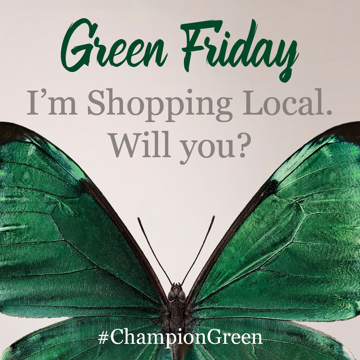 Champion Green tweet media