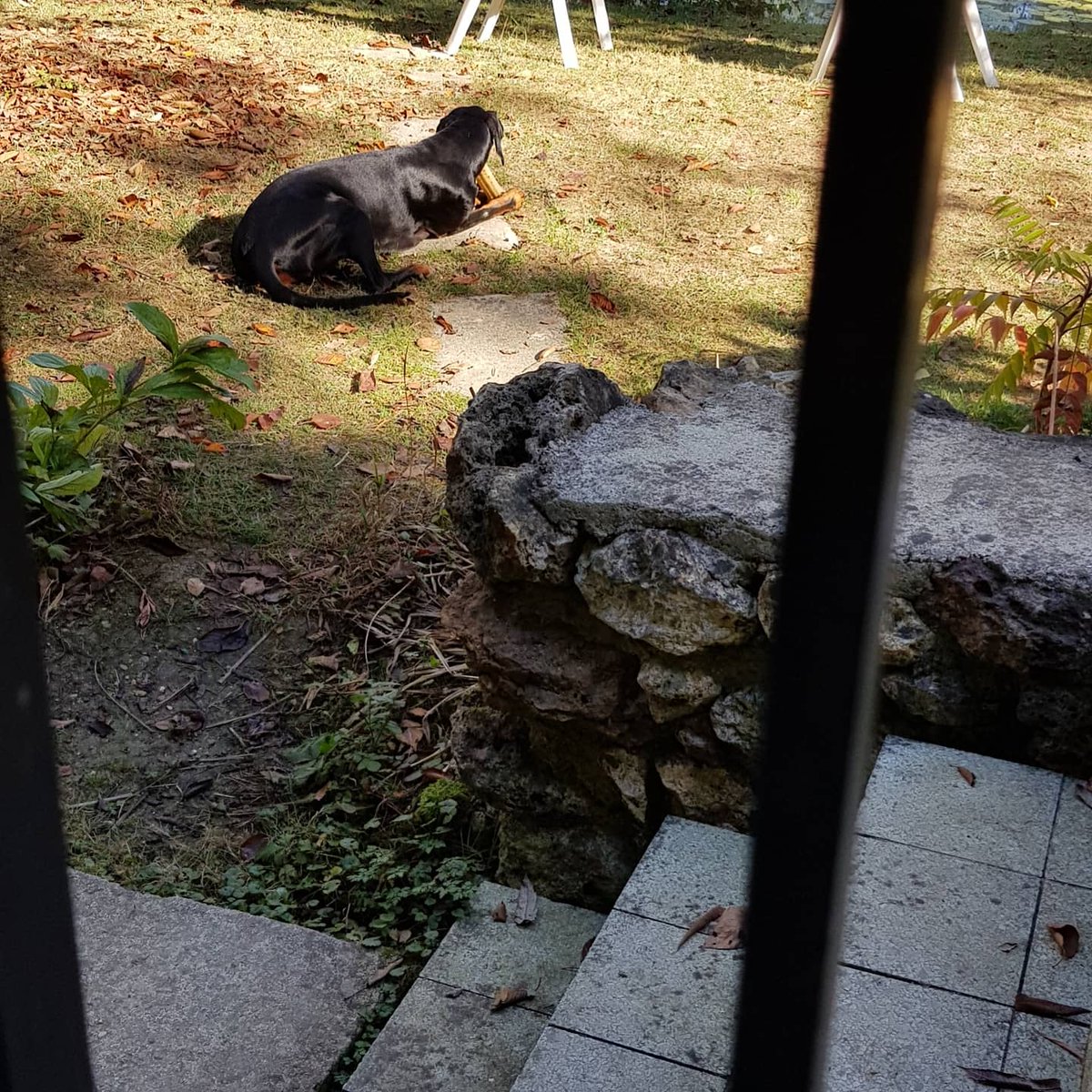 Friday already and in most places its black Friday but not at Portland Wines Southport it's happy day so come on in and browse at your leisure and pick out the bargains. We open at 12noon till 8pm so plenty of time and advice is always on hand  ✋ 😉