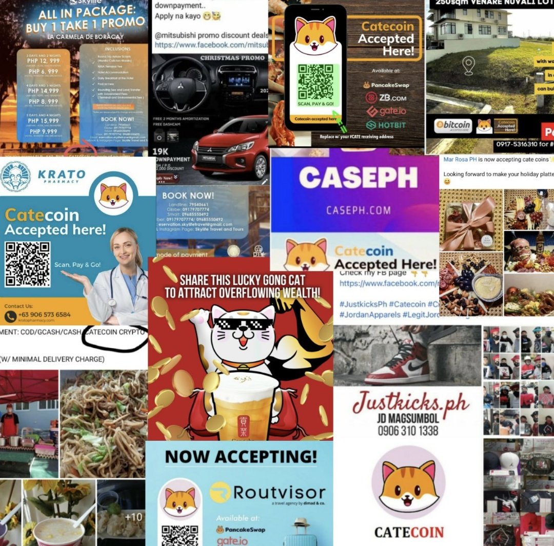 catehesap's tweet photo. @cateclub Burn #catecoin
Why #catecoin https://t.co/bmCm8VwQhw