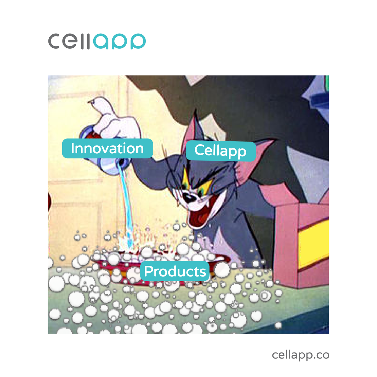 apps2impact's tweet photo. At Cellapp, we are all about innovation.

#cellapp #app2impact #incubation #impact #Data #meme #innovation https://t.co/0phNRrri6F