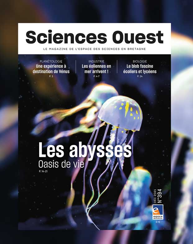 Sciences_Ouest's tweet photo. ✨ #Parution | Un plongeon dans les #abysses, ça vous dit ? 🐙🤿
On parle aussi de la mission #Envision, des déchets alimentaires... Et on a fait le point sur l'état des connaissances au sujet des #éoliennes en mer. 
Bonne lecture !
📬En vente sur https://t.co/3CVZ5YBKPj https://t.co/37oIDznRqS