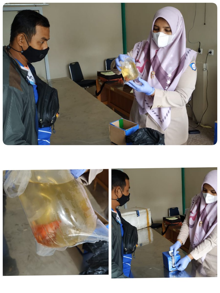 bppmhkpekanbaru's tweet photo. 24/11/2021 
#OneHealthKIPM
Pemeriksaan domestik keluar komoditi perikanan di TPF Stasiun KIPM Pekanbaru, komoditi diperiksa cupang 1 ekor tujuan Yogyakarta via Tiki
Pengirim : Muslim
Penerima : Bayu
@rinajanwar2201
@desam1987 
@PrimaSkipm 
@bkipm_kkp https://t.co/ohjRIIl3cF