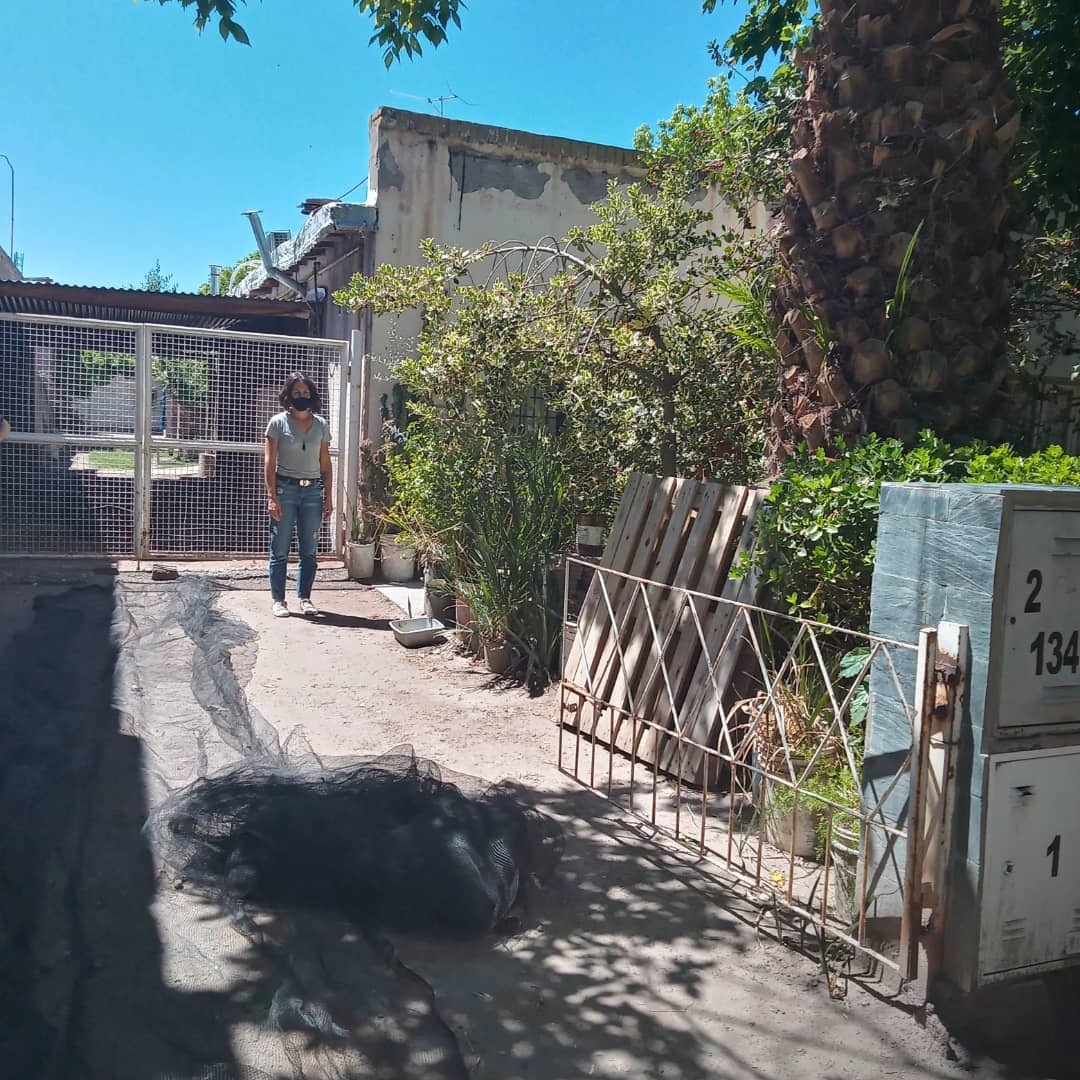 WillkakutiSR's tweet image. #Willkakuti🌞 entregó tela antigranizo a Omar de #BarrioMusso .
#programadeautonomiaalimentaria
#plandeemergenciaalimentaria 
#tumunicipio