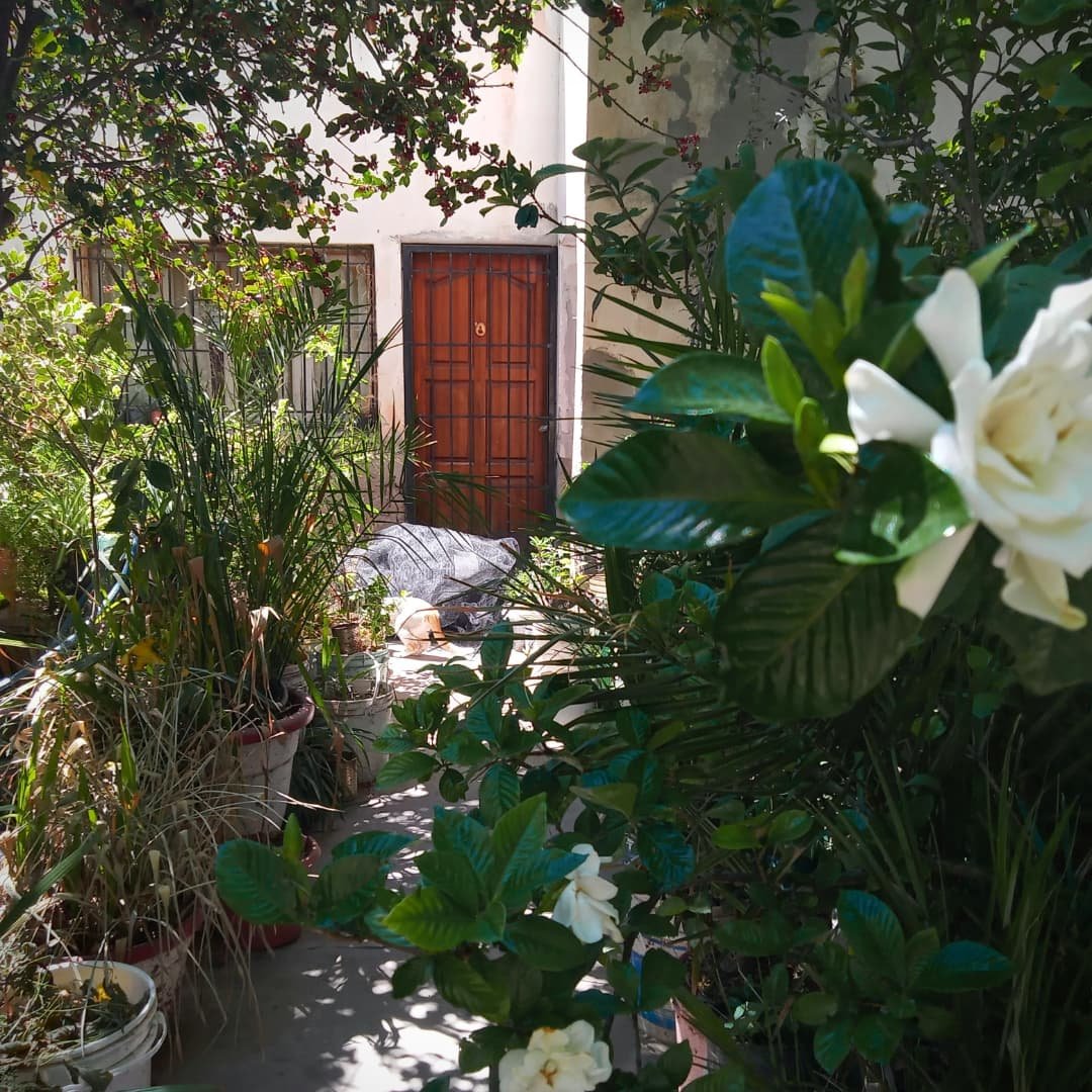 WillkakutiSR's tweet image. #Willkakuti🌞 entregó tela antigranizo a Omar de #BarrioMusso .
#programadeautonomiaalimentaria
#plandeemergenciaalimentaria 
#tumunicipio