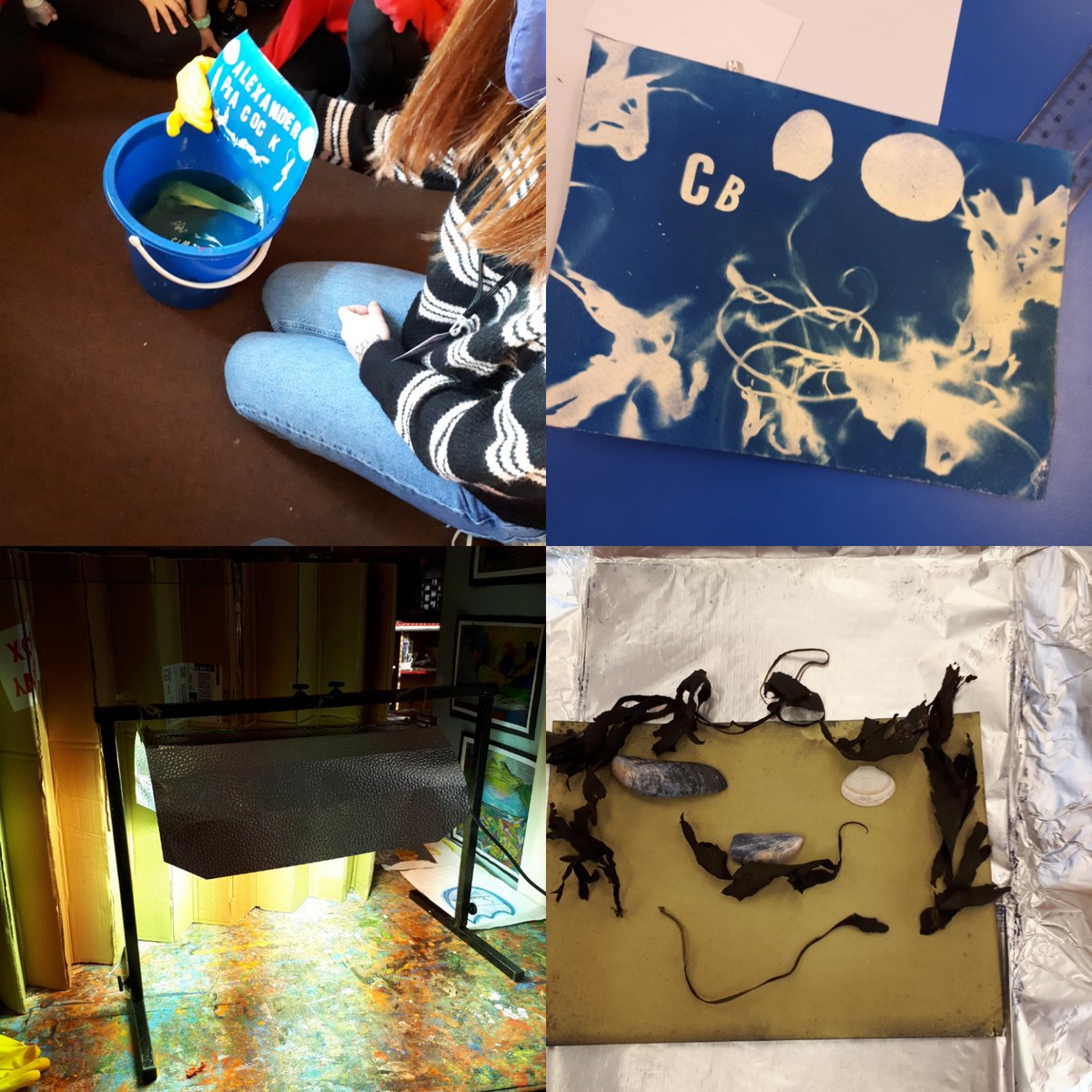 LawheadPS's tweet photo. P4 completed their work with @univofstandrews by creating blue print photographs. They used seaweed, shells and wooden letters to create designs. In maths they worked on investigating which 2D shapes could tile. In science they investigated the #magnuseffect https://t.co/IDnB76XXaX