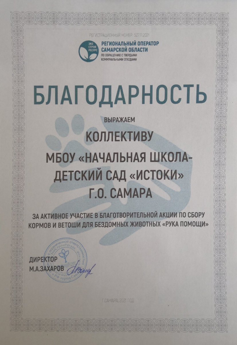 Школьники приняли участие в акции «Рука помощи». Собранные корма отправили в приют для животных.