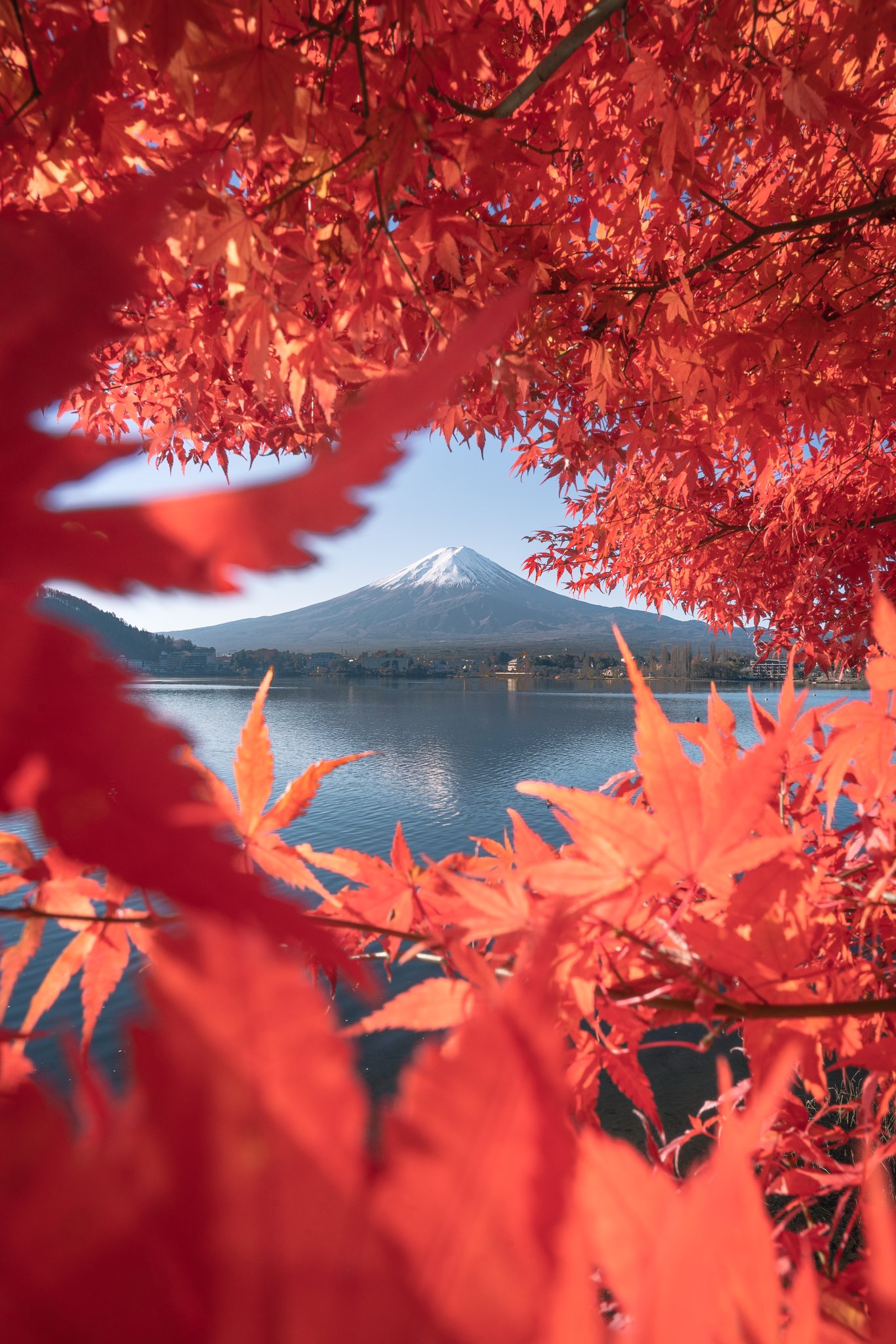 Kazuho 0216 日本の秋 山梨 富士河口湖町 河口湖 富士山 紅葉 T Co Zl5y1xp8ws Twitter