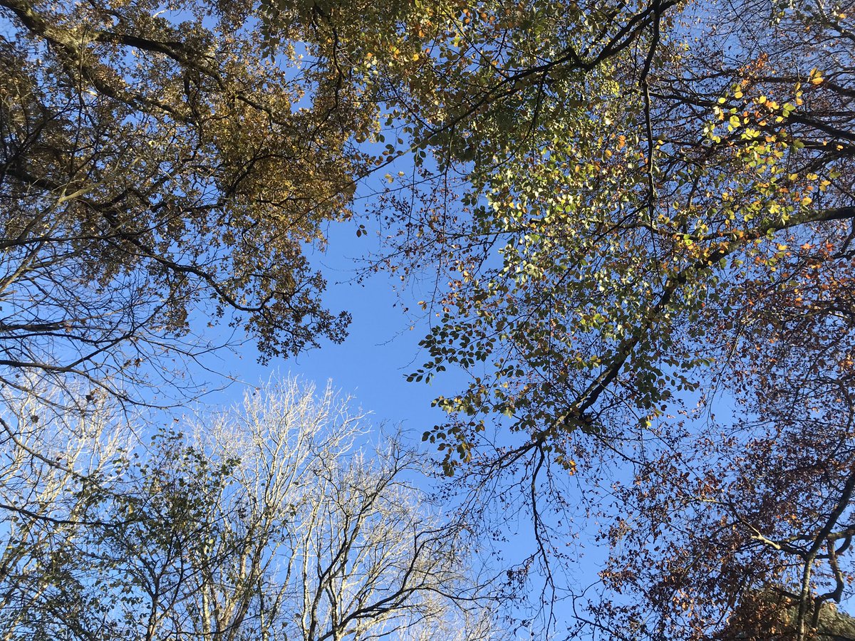 nomagicbutton's tweet photo. Whatever you do today, remember to look up.
Then notice how this feels different.
#mindsettip https://t.co/z9eT2sN9bk
