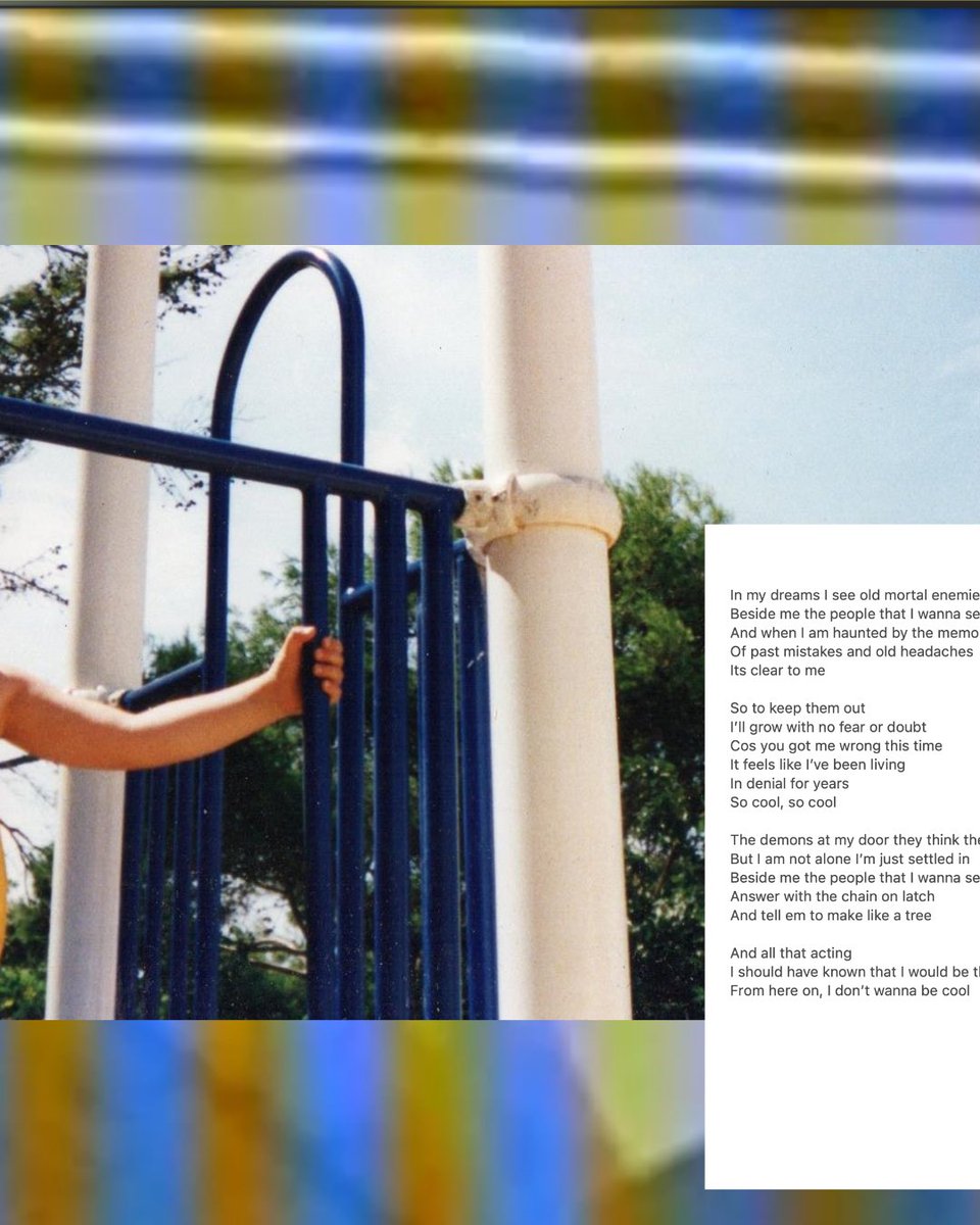 Josh Ingledew tweet media