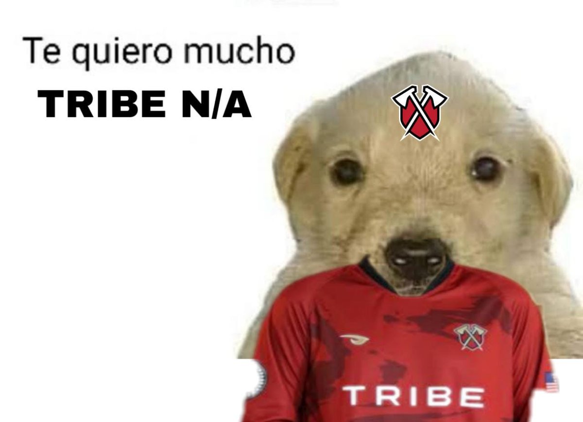 <a href="/TribeGaming/">Tribe Gaming</a>