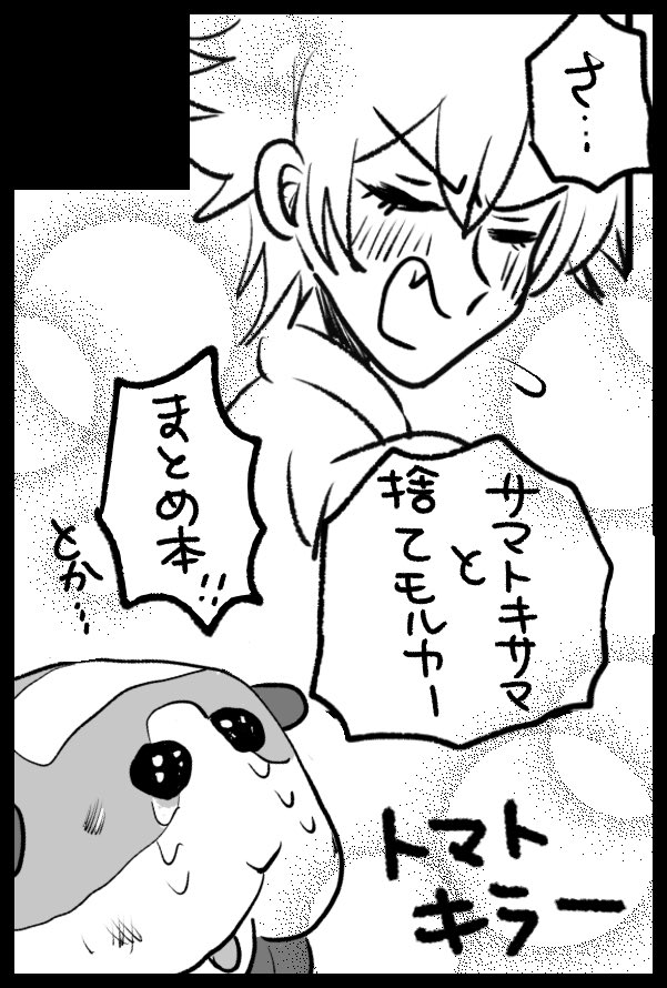 1月23日のクレリリに申し込みました!サマと捨てモルカ〜の本を持っていけるよう頑張ります…既刊の在庫もあったら…よろしくお願いします! 