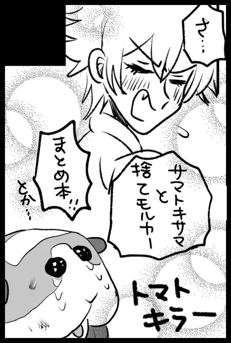 1月23日のクレリリに申し込みました!サマと捨てモルカ〜の本を持っていけるよう頑張ります…既刊の在庫もあったら…よろしくお願いします! 