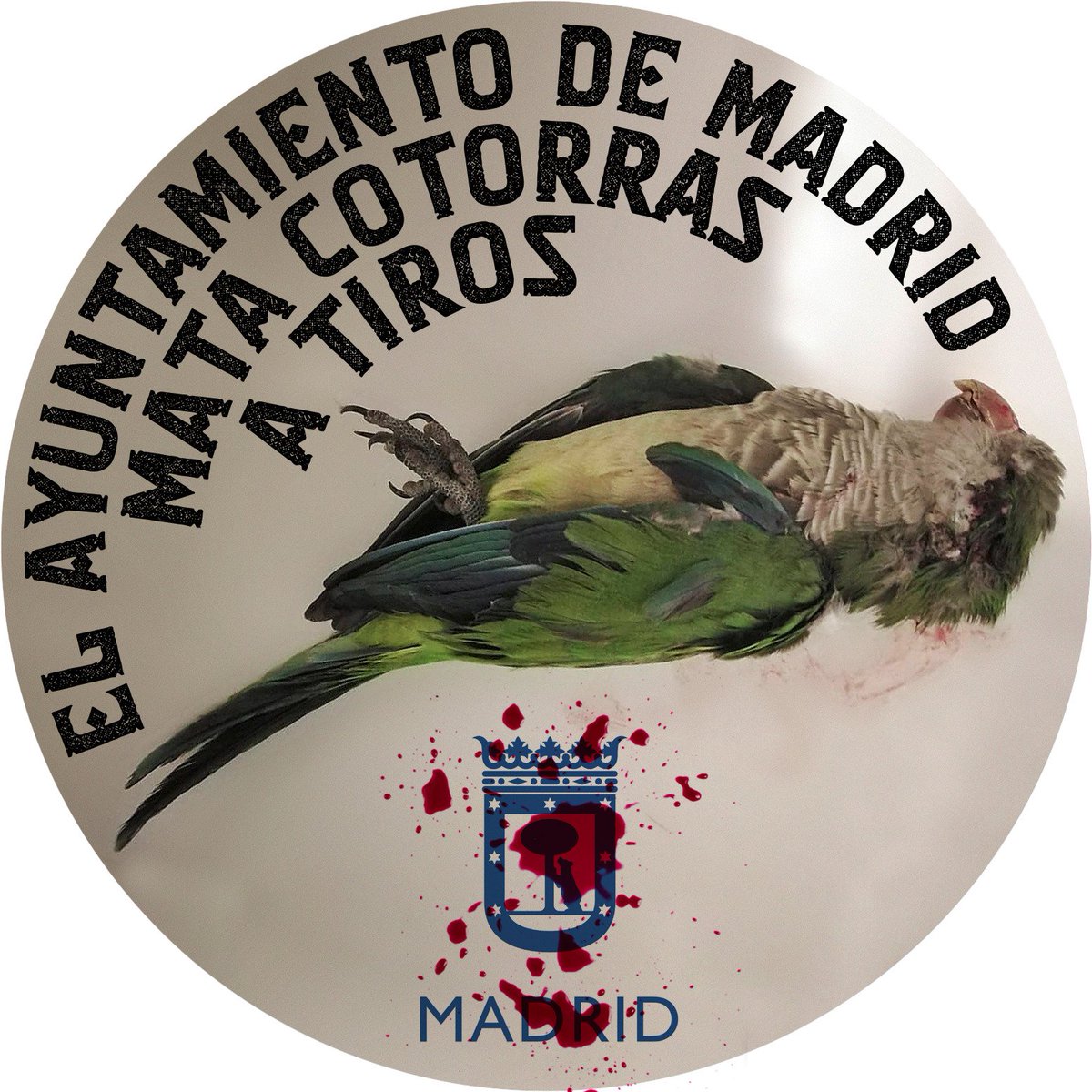 Audiolibros en Español tweet media