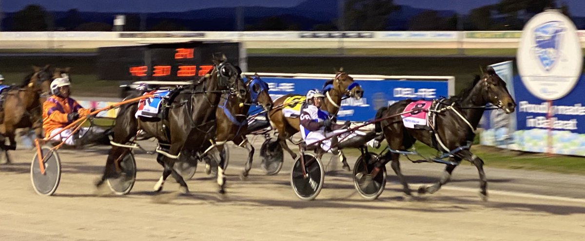 Bdtc150's tweet photo. COMMON COURTESY (Connor and Wayne Ronan) has second win on end in ALABAR VICBRED PLATINUM PACE @Bdtc150 R5 MR 1:57.6 LH 57.3 Congratulations Ronan family https://t.co/lk1f19CEU7
