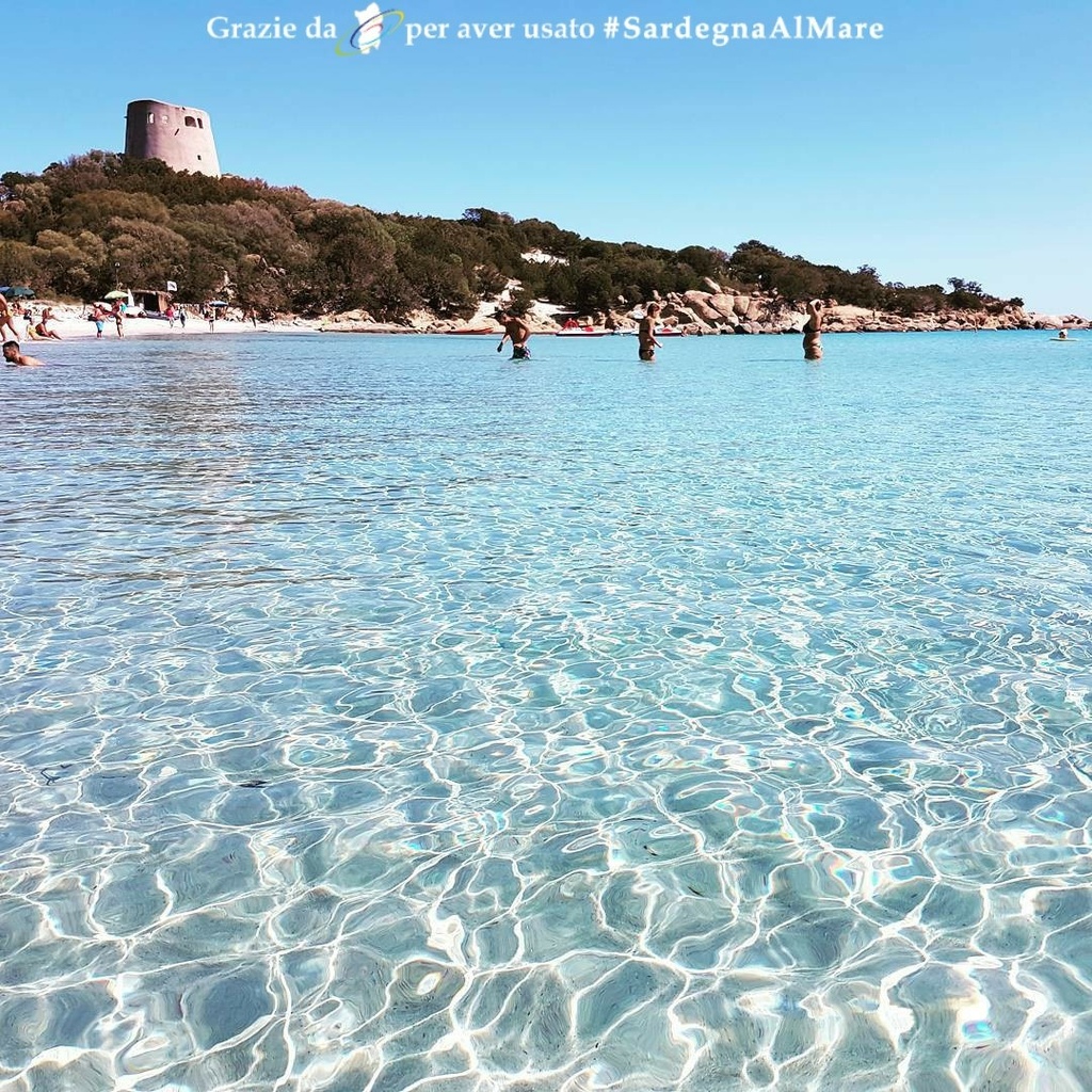 SardegnaAlMare's tweet photo. Spiaggia Cala Pira, zona Castiadas πΌ π β # SardegnaAlMare #spiaggia #sardegna #sardinia #ichnusa #calapira #spiaggiacalapira #castiadas #castiadascalcio #castiadasospitale #costarei #costareibeach #spiaggiadicostarei #muravera #villasimius #instasardegna #igers_sardegna #yelβ¦ https://t.co/V9q9ZFMFn0
