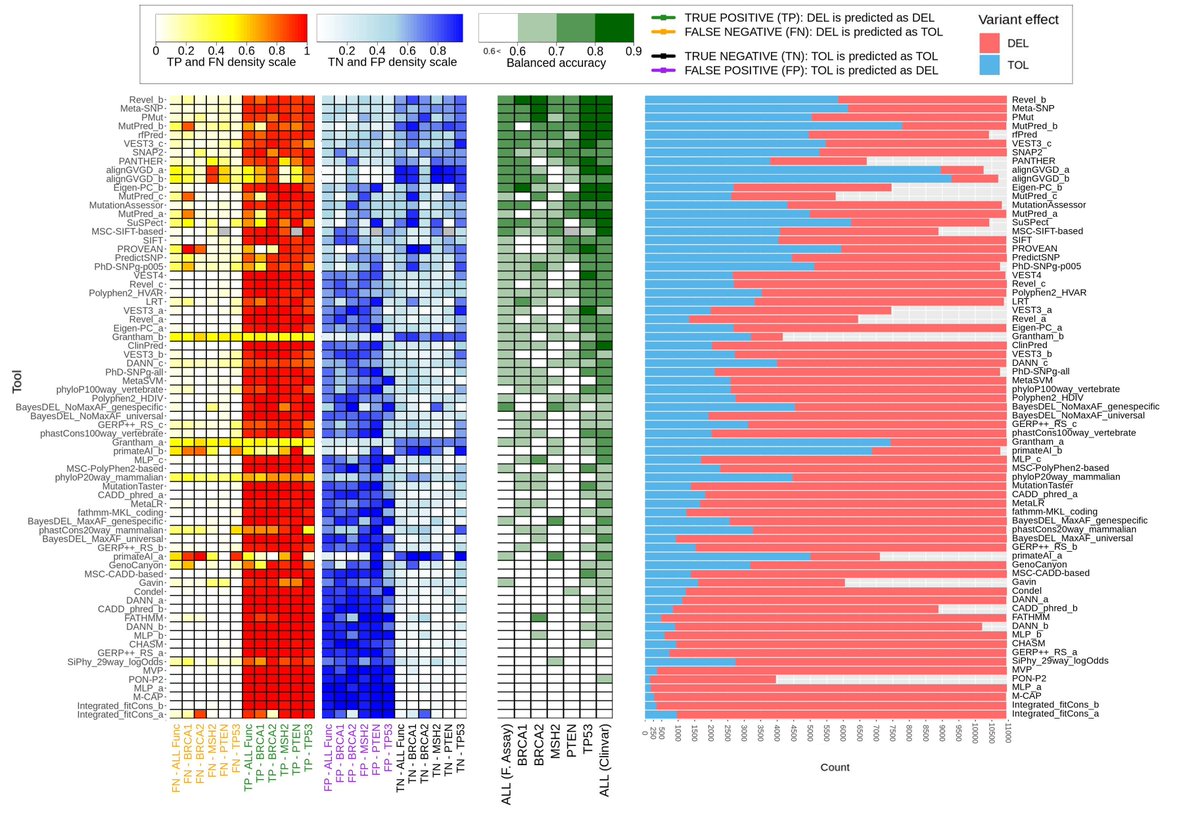 CanGene-CanVar 🧬 (@cangenecanvar) on Twitter photo Our analysis of 44 in silico tools has been highlighted in the latest 'In This Issue' by <a href="/GIMJournal/">Genetics in Medicine</a>
View it here: doi.org/10.1038/s41436…
<a href="/CRUKresearch/">Science and Innovation at Cancer Research UK</a> <a href="/clare__turnbull/">Clare Turnbull- Prof/NHS Dr</a> <a href="/cubukcankut/">Cankut Cubuk</a> <a href="/DrAliceGarrett/">Alice Garrett</a> <a href="/LovedayChey/">Chey Loveday</a>
#Cancer #Genetics #CancerSuscpetibilityGenes Our analysis of 44 in silico tools has been highlighted in the latest 'In This Issue' by <a href="/GIMJournal/">Genetics in Medicine</a>
View it here: doi.org/10.1038/s41436…
<a href="/CRUKresearch/">Science and Innovation at Cancer Research UK</a> <a href="/clare__turnbull/">Clare Turnbull- Prof/NHS Dr</a> <a href="/cubukcankut/">Cankut Cubuk</a> <a href="/DrAliceGarrett/">Alice Garrett</a> <a href="/LovedayChey/">Chey Loveday</a>
#Cancer #Genetics #CancerSuscpetibilityGenes