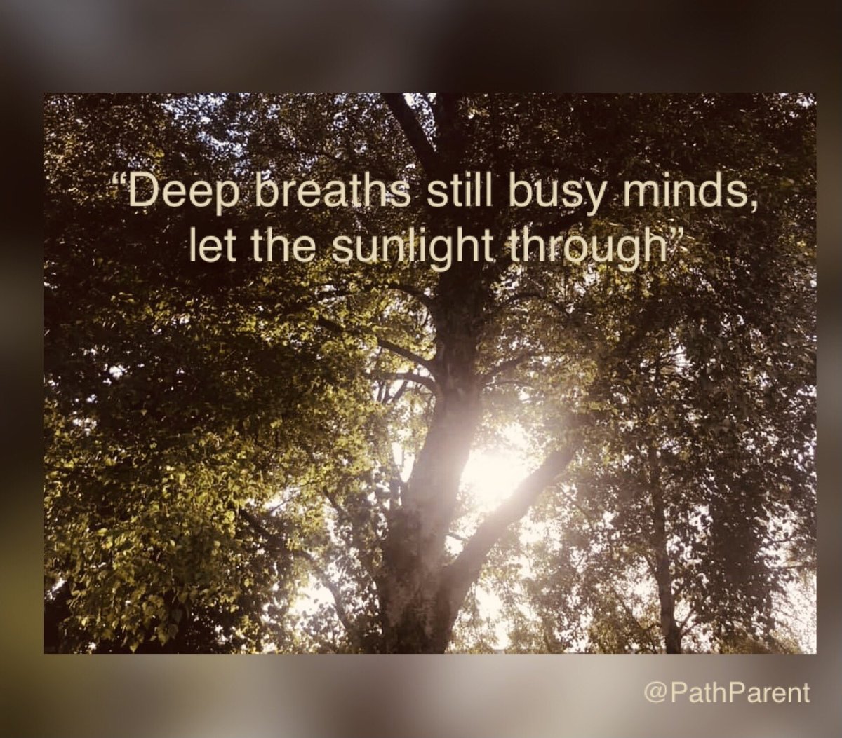 PathParent's tweet image. “Deep breaths still busy minds, let the sunlight through” 

May chinks of sunlight enter your lives today no matter how big or small the rays are 🌤

#Mindfulness #WhereTheLightEnters #Hope  #FridayVibes