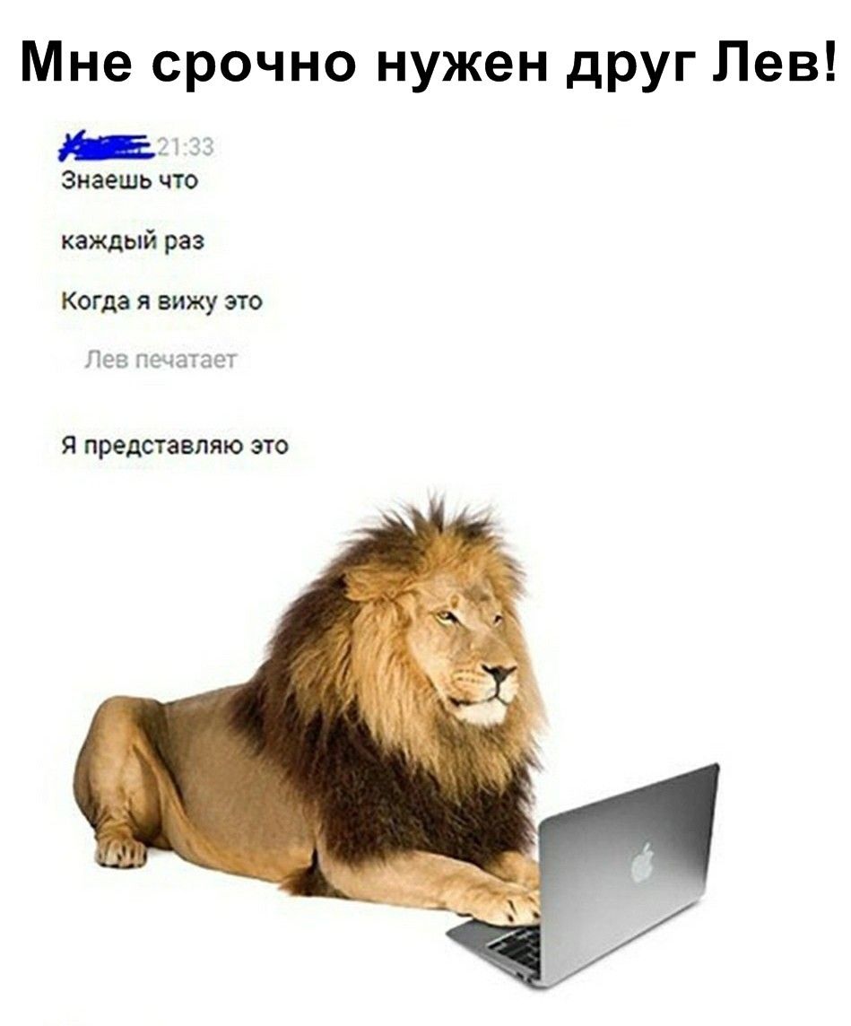 Мемы про Львов