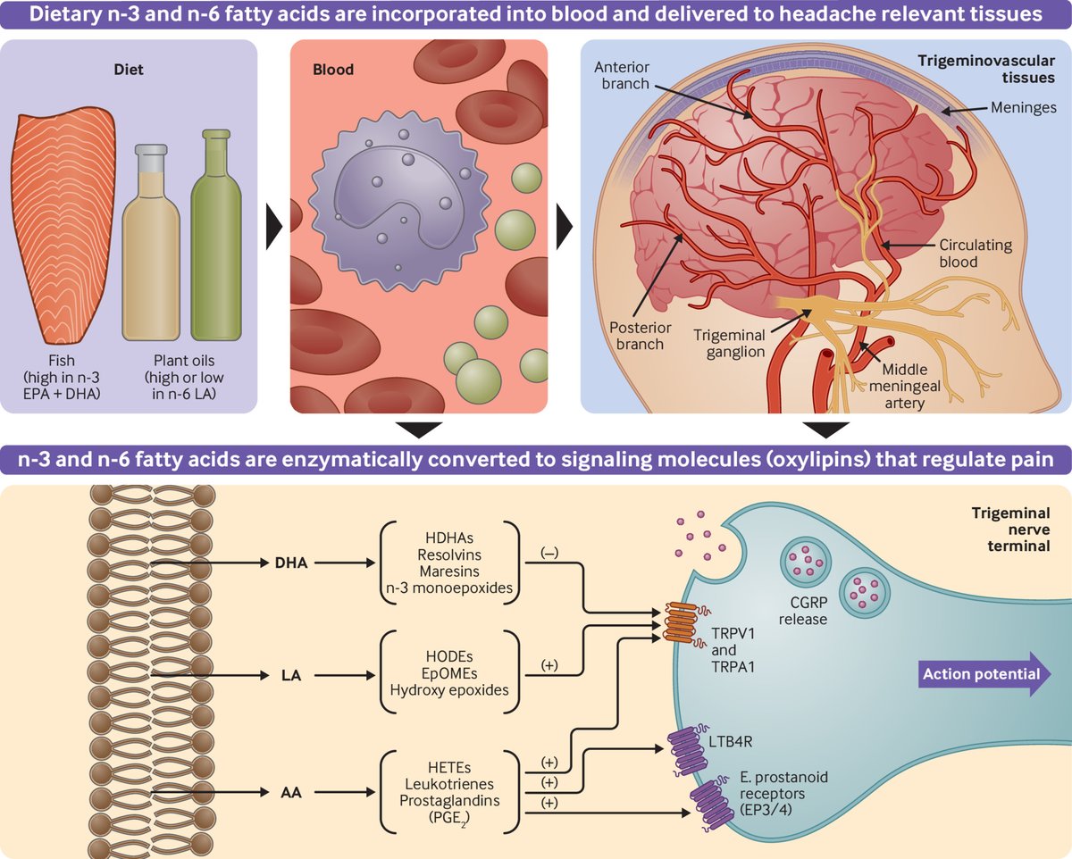 Leigh A. Frame 🍎🥕🍋🥦🍇 tweet media