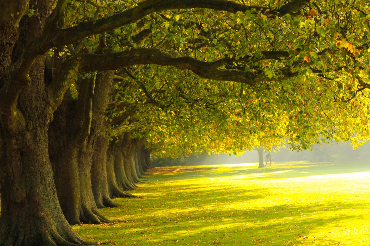 EnglandForLess's tweet image. Where do you want to go? What do you want to do? We will give you the information you need to help you decide, and ways to save money. #UKholidays #visitEngland 

enjoyenglandforless.co.uk/about-england/