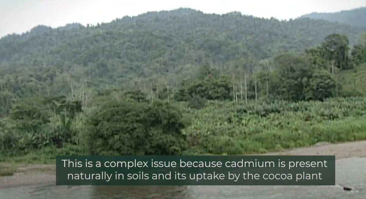 FAOWHOCodex's tweet photo. โฎ๏ธ | #ICYMI | All #CodexCAC44 videos are available on the Codex website.
๐ Discover a world full of standardsโ๏ธ
๐บโก๏ธ https://t.co/xSYSzG3qsT
๐๐๐ฅ๐ฅ๐ณ๐๐ฅ๐ง
#CodexFamily https://t.co/6zJBdYT981